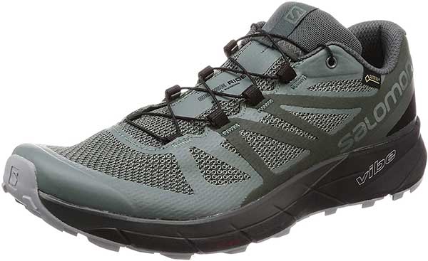 Salomon Sense Ride GTX